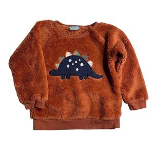 Pekkle 24 M Cozy Brown Dinosaur Kids Sweatshirt